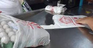 Vereadores de Porto Seguro aprovam lei que proíbe comercio de cobrar por sacolas plásticas.