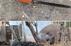 Produção clandestina de carvão é alvo de operação da CIPPA em Arraial D’ajuda