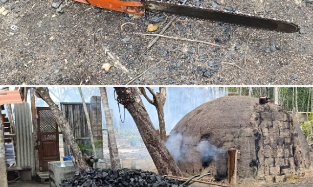 desmatamento-para-producao-clandestina-de-carvao-e-alvo-de-operacao-da-cippa-em-porto-seguro-gb-2802-8e72e-720x430